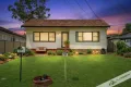 Property photo of 53 Paul Street Blacktown NSW 2148