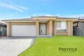 Property photo of 56 Shells Circuit Leppington NSW 2179