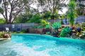 Property photo of 8 Shelley Drive Byron Bay NSW 2481