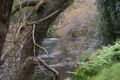 Property photo of 81 Wilmot Road Forth TAS 7310