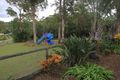Property photo of 70 Guara Grove Pimpama QLD 4209