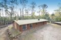Property photo of 49 Johns Road Reedy Marsh TAS 7304