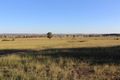 Property photo of 460 Patrick Road Dunedoo NSW 2844