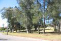 Property photo of 42 Schofield Avenue Earlwood NSW 2206