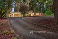 Property photo of 6 Station Avenue Emerald VIC 3782