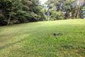 Property photo of 9 Kuranda Crescent Kuranda QLD 4881
