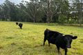 Property photo of 209 Range Road Peachester QLD 4519
