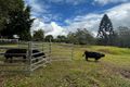 Property photo of 209 Range Road Peachester QLD 4519