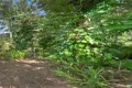 Property photo of 16 Cubberla Street Fig Tree Pocket QLD 4069