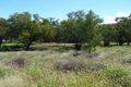 Property photo of 12321 Carnarvon Highway St George QLD 4487