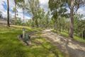 Property photo of 175 Brygon Creek Drive Upper Coomera QLD 4209