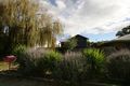 Property photo of 8 Watchorn Road Cowes VIC 3922