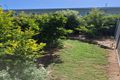 Property photo of 12 Link Street Bingara NSW 2404