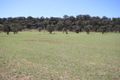 Property photo of 1048-1052 Cullingral Road Merriwa NSW 2329
