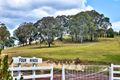 Property photo of 1214 Rivertree Road Undercliffe NSW 4380