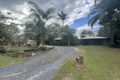 Property photo of 32 Firetail Court Morayfield QLD 4506