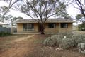Property photo of 49 Ash Crescent Gladstone SA 5473