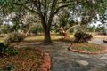 Property photo of 31 Falkenberg Road Nuriootpa SA 5355