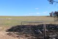 Property photo of 535 Burbidge Road Ettrick SA 5253