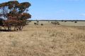 Property photo of 535 Burbidge Road Ettrick SA 5253