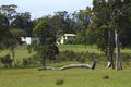 Property photo of 352 Turpentine Road Tomerong NSW 2540