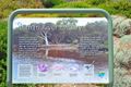 Property photo of 14 Kent Drive Victor Harbor SA 5211