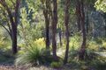 Property photo of 9505 Lilydale Road Gidgegannup WA 6083