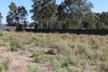 Property photo of 50 Raintree Terrace Wadalba NSW 2259