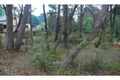 Property photo of 14 Minni Ha Ha Road Katoomba NSW 2780