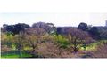 Property photo of 403/23-25 Queens Road Melbourne VIC 3004
