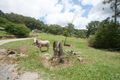 Property photo of 50 Freemans Road Lower Beechmont QLD 4211
