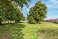 Property photo of 20 Macadamia Drive Tinana QLD 4650