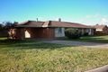 Property photo of 9 Weston Close Yarrawonga VIC 3730
