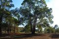 Property photo of 9505 Lilydale Road Gidgegannup WA 6083