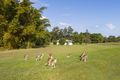 Property photo of 148 Beddington Road Doonan QLD 4562