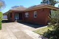 Property photo of 77 Sterling Street Dubbo NSW 2830