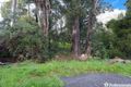 Property photo of 53 Wonga Road Millgrove VIC 3799
