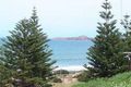 Property photo of 40 Albatross Avenue Chiton SA 5211