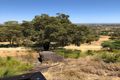 Property photo of 33 Weir Road Baskerville WA 6056