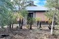 Property photo of 31 Lindsay Avenue East Side NT 0870