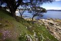 Property photo of 98 Spitfarm Road Opossum Bay TAS 7023