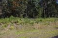 Property photo of 20 Rainforest Drive Mitchells Island NSW 2430