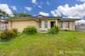 Property photo of 17 Peachfield Drive Morayfield QLD 4506