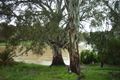Property photo of 8B Stock Street Darlington Point NSW 2706