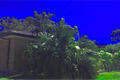 Property photo of 52 Meredith Avenue Lemon Tree Passage NSW 2319