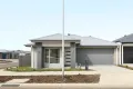 Property photo of 18 Currawong Street Kalkallo VIC 3064