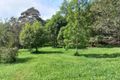 Property photo of 694 Maleny Montville Road Balmoral Ridge QLD 4552