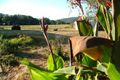 Property photo of 15 Grevillea Avenue Eugowra NSW 2806