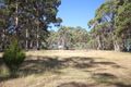 Property photo of 403 Willow Springs Road Mozart NSW 2787