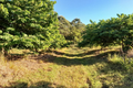 Property photo of 56 Pavans Access Grassy Head NSW 2441